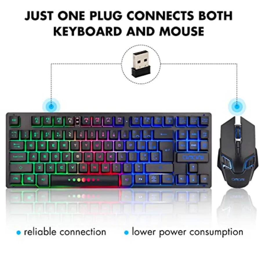 Wireless TKL Keyboard & Mouse Combo